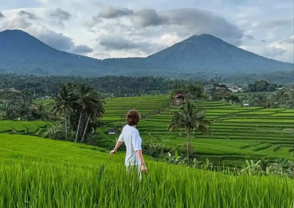 jatiluwih-rice-terraces-2